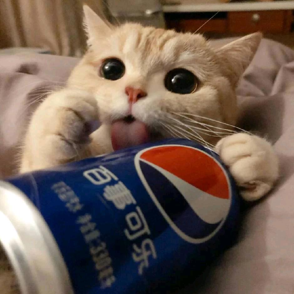 小小小丁💫（恩师曾佳辉）