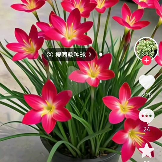 养心