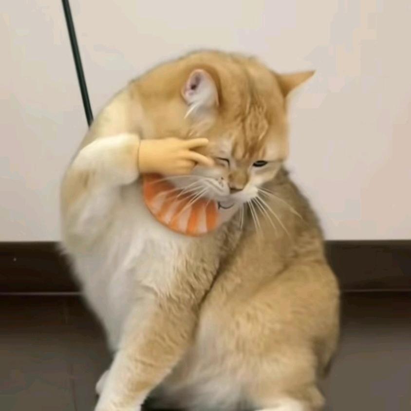 沐$白