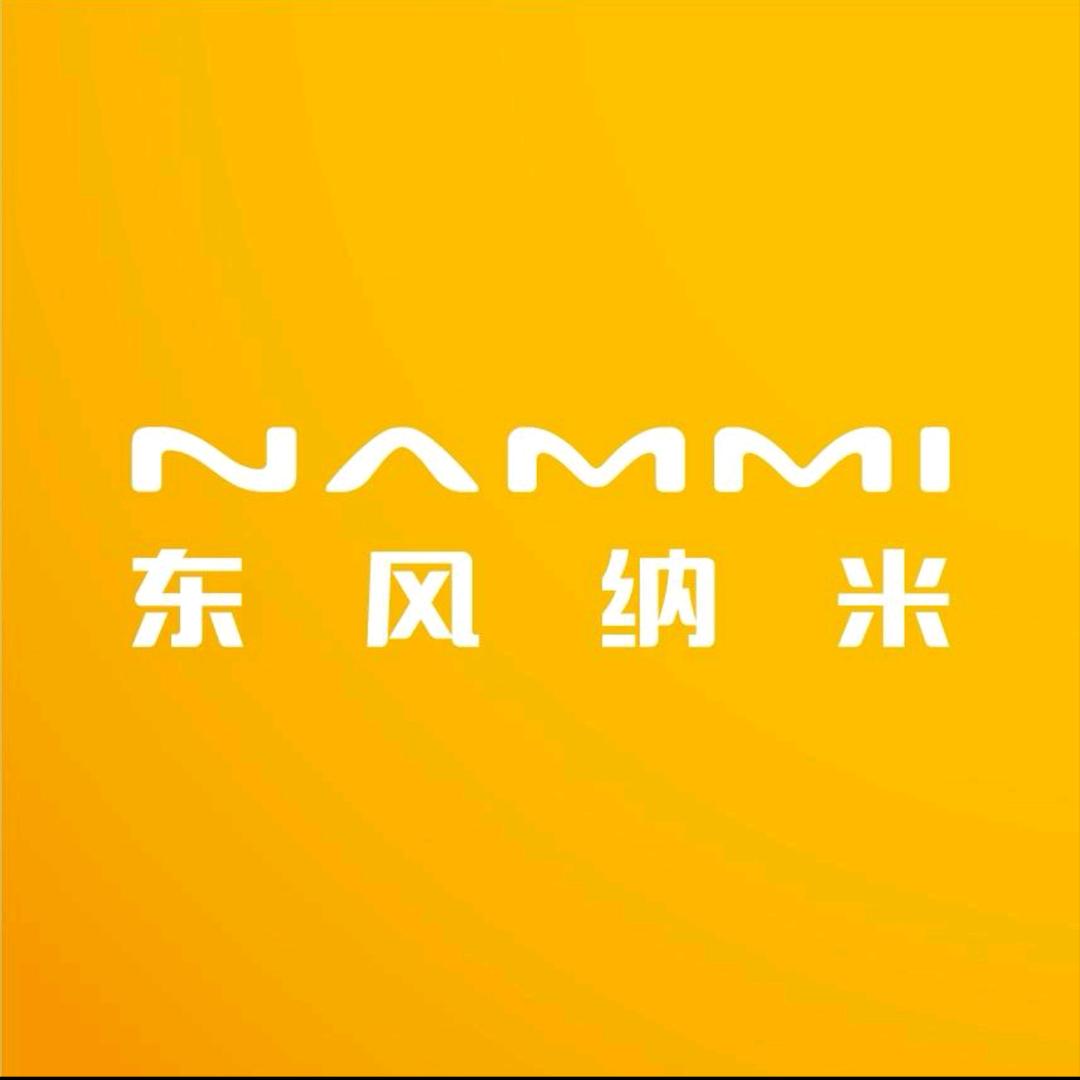 东风纳米06河池豪华店