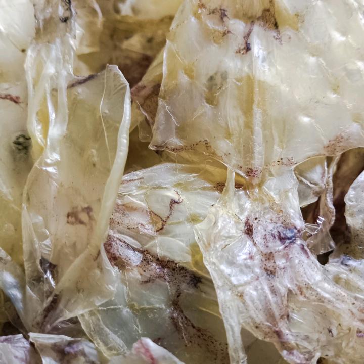 张翎