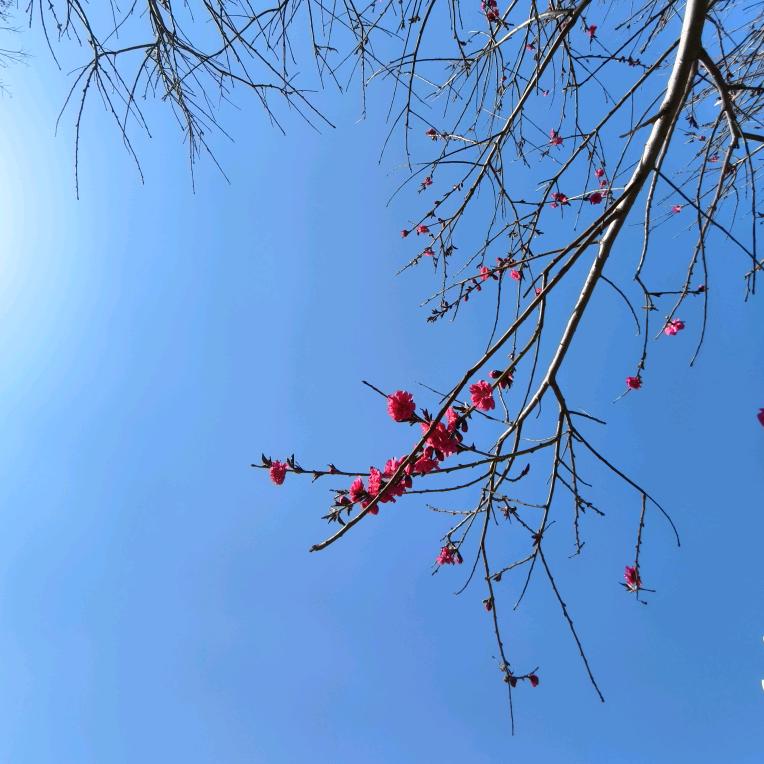 V职十二年😊👑