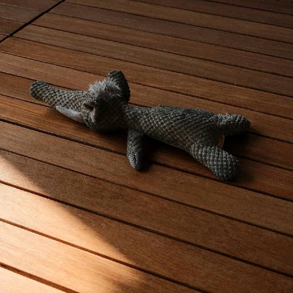 zZ。（想钓鳜鱼版）