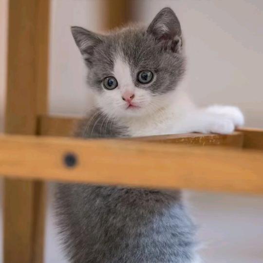 💍华心想事成🈶