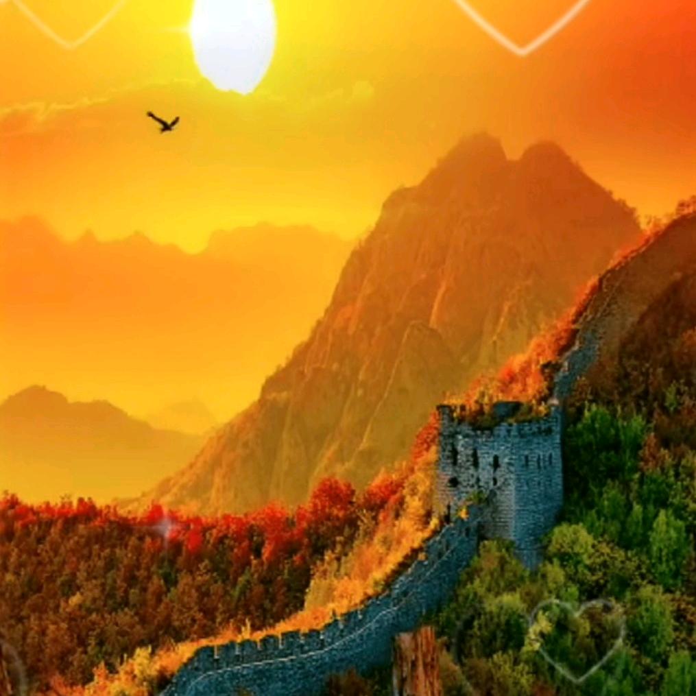 珍惜未来