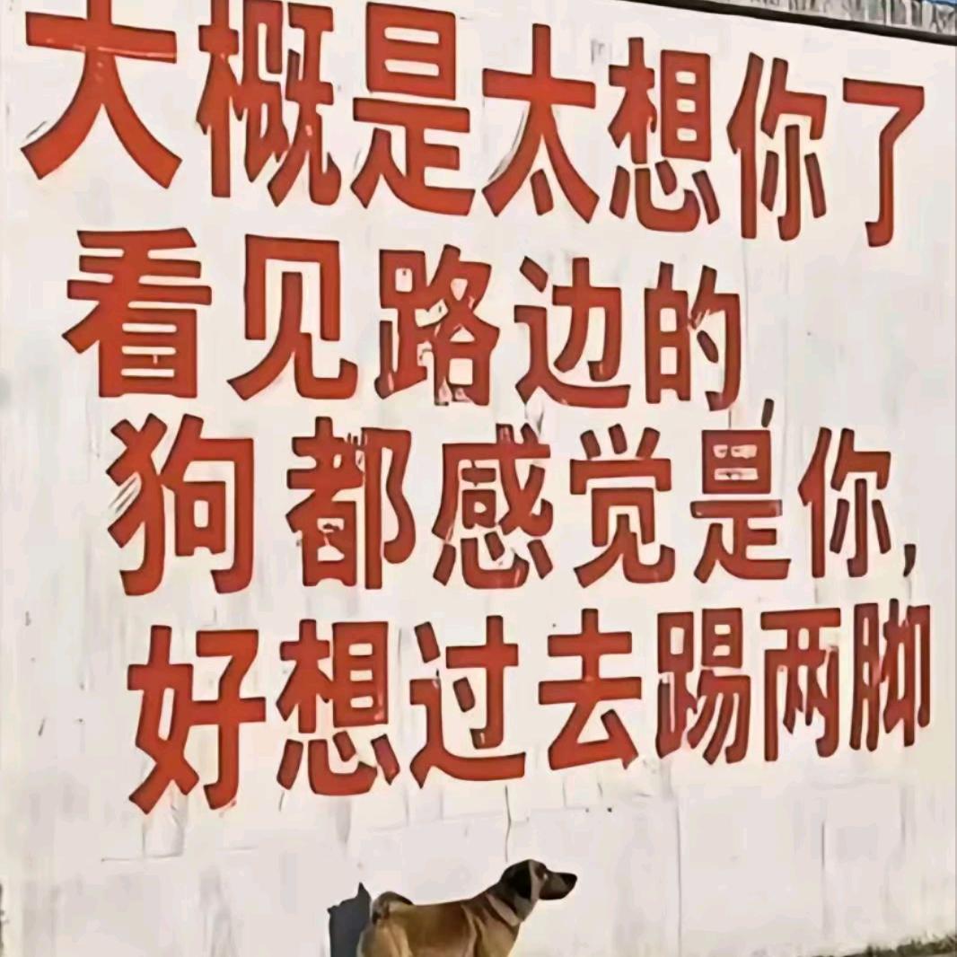 狐狸爱上蓝鲸