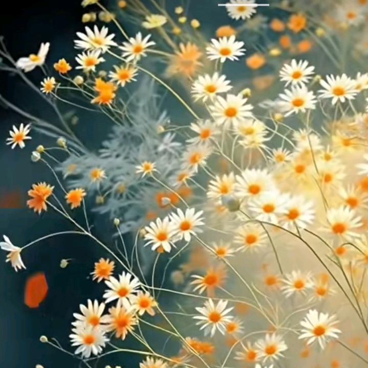 大郎，该喝药了