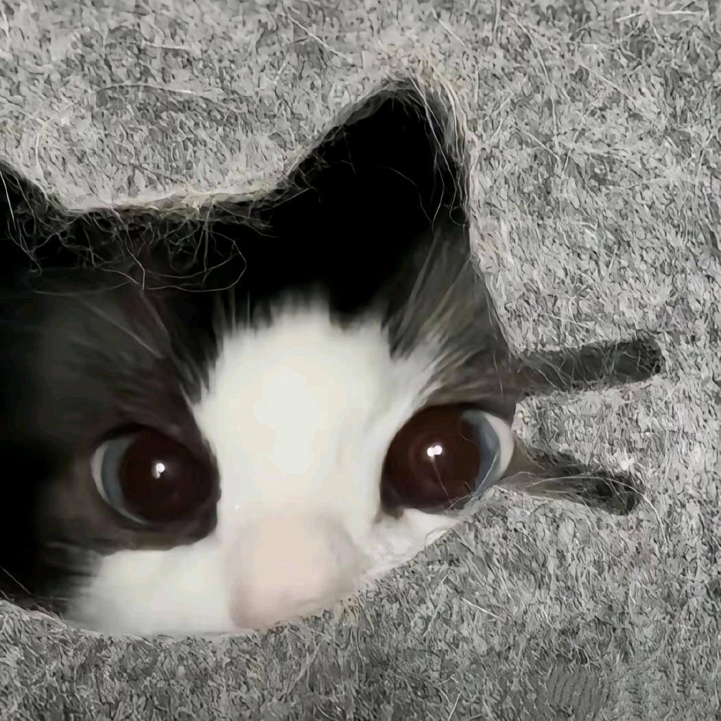 青执。
