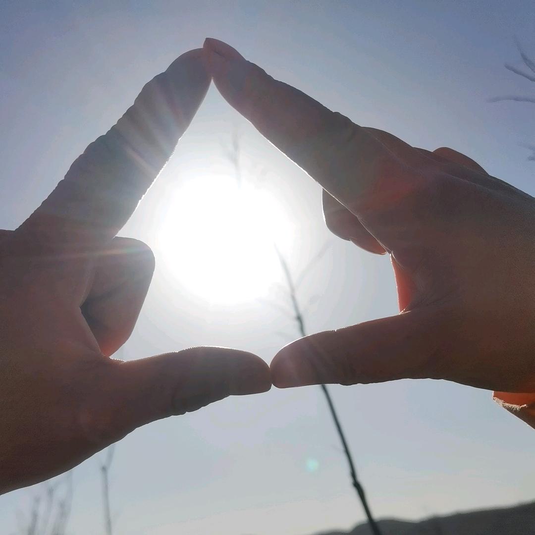 不会飞的翅膀🌸