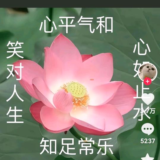 丘Y