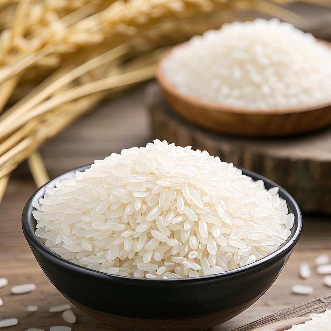 小米虫儿