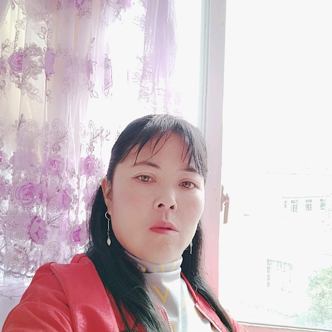 洪艳