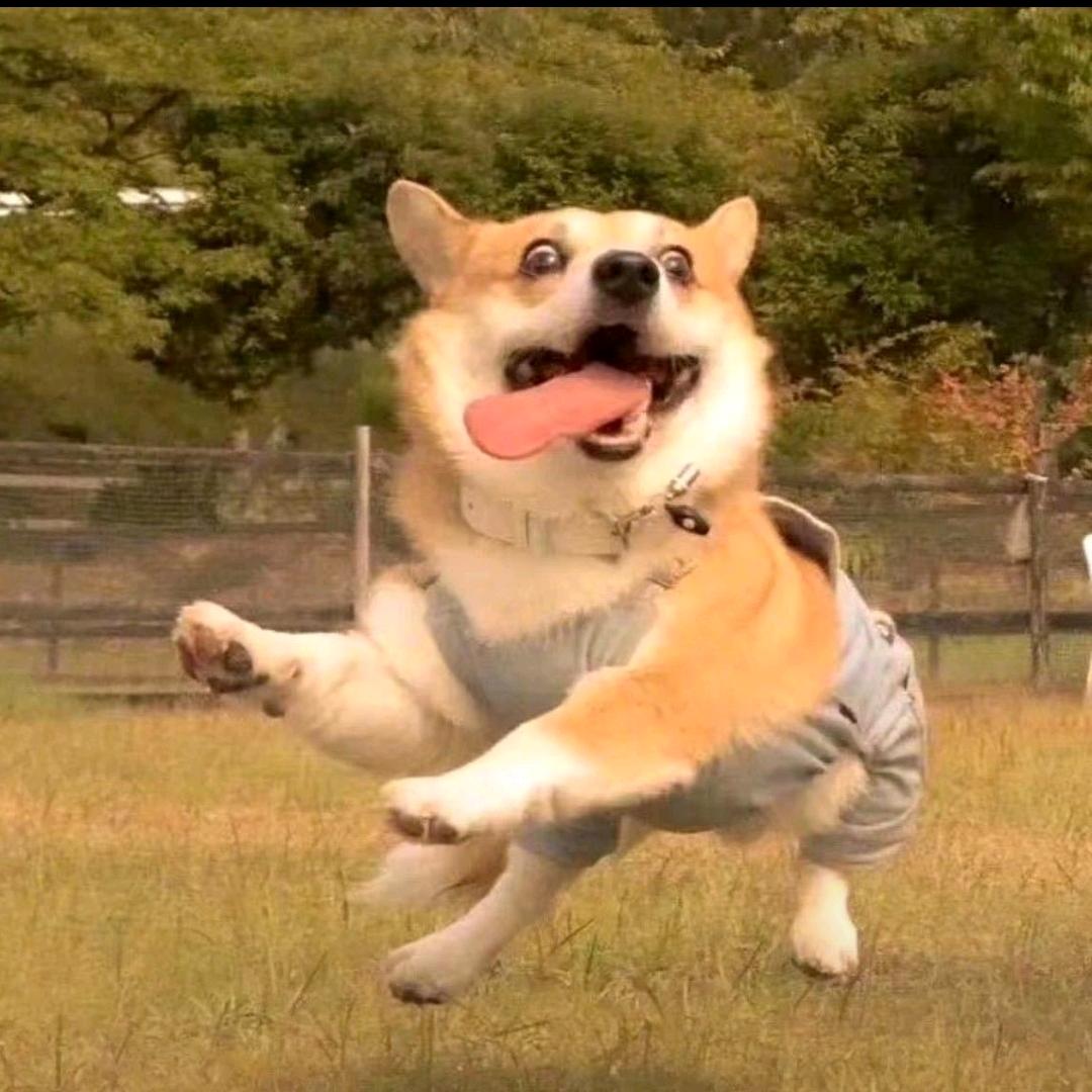 奔腾岁月