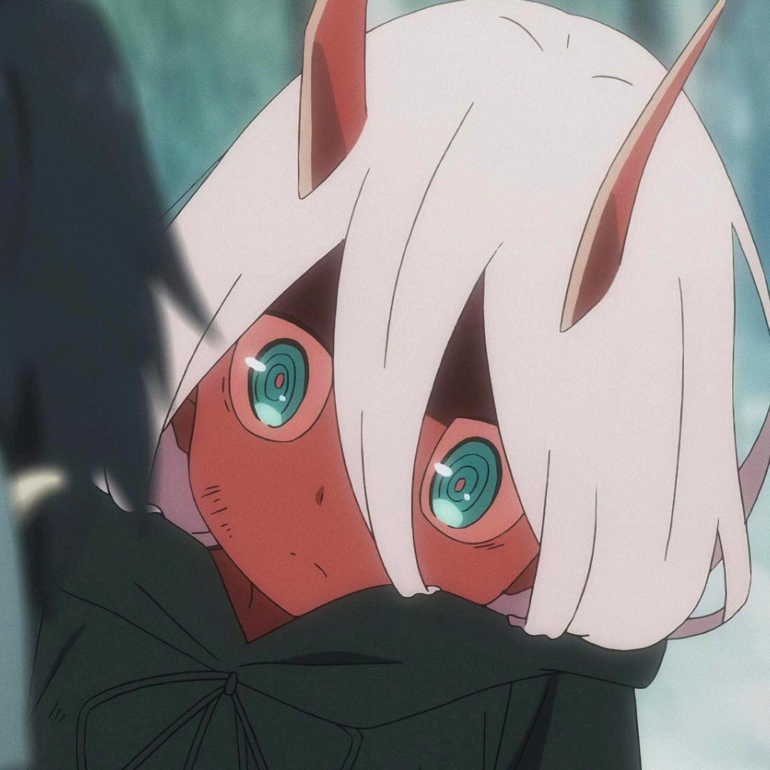 Y. Z.