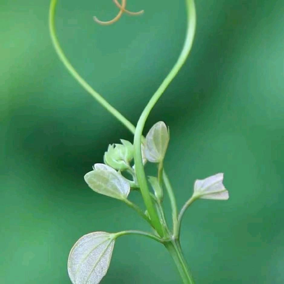 💞💞好运连连💞💞