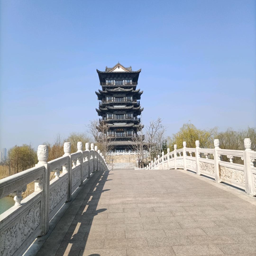 牛在飞