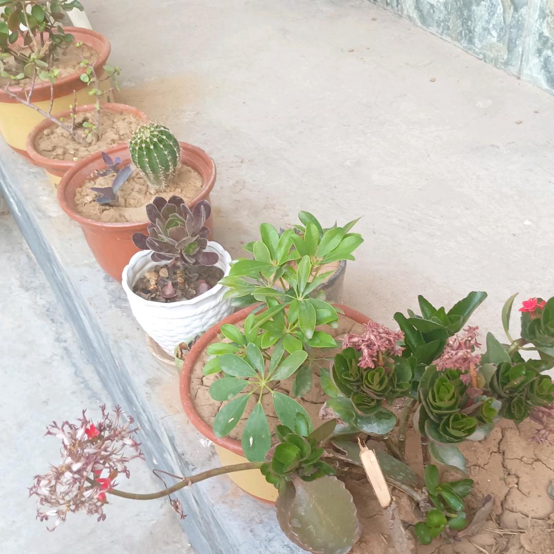 阳光照亮前方：