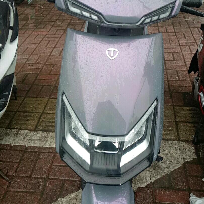 枫