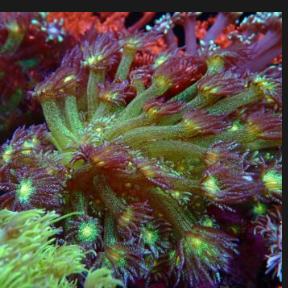 鱼缸器材爱好者