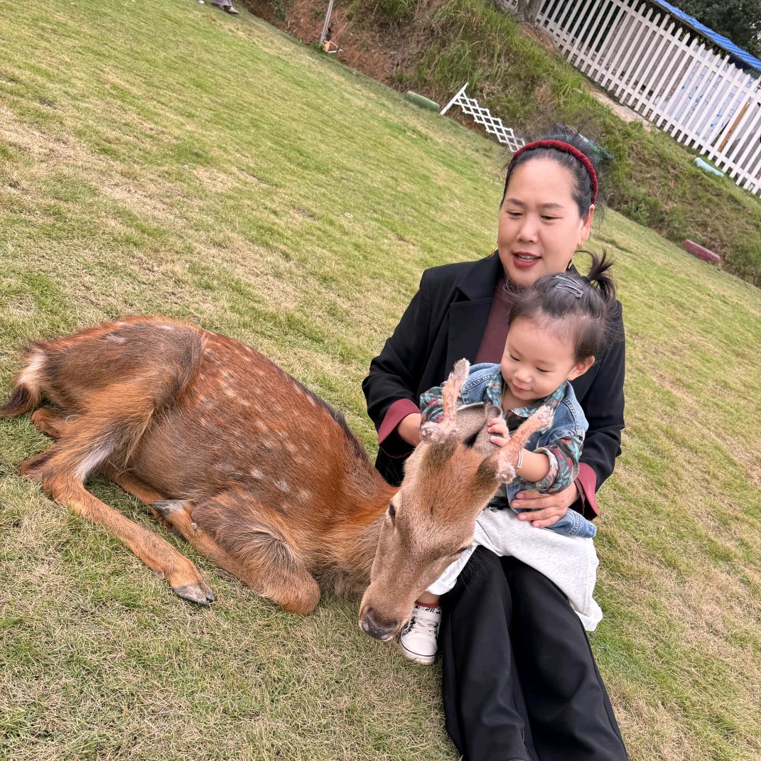 安好早上六点开播,希望大家走进我直播间