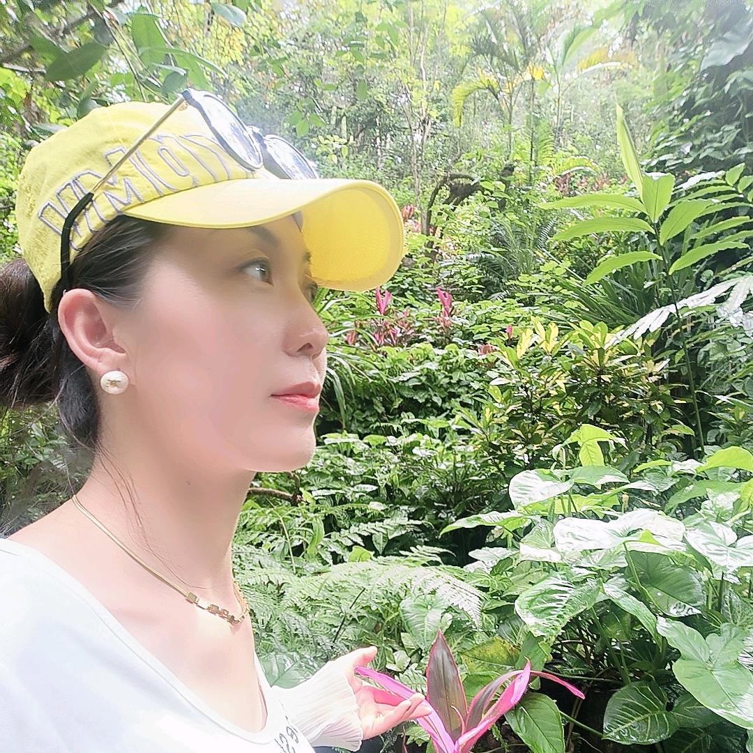 落入凡间的彩虹✨