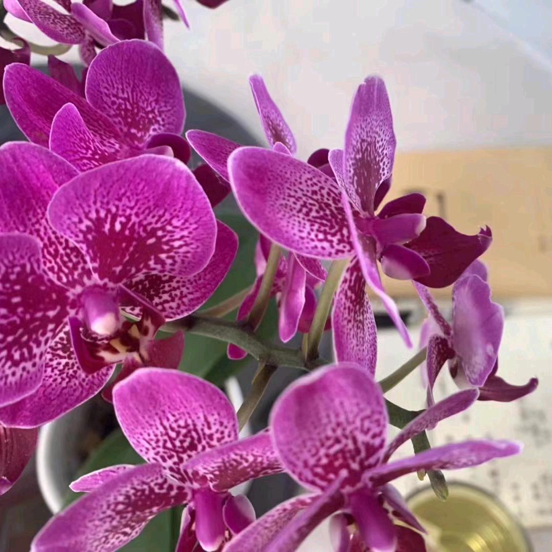 前世的因，现世的果