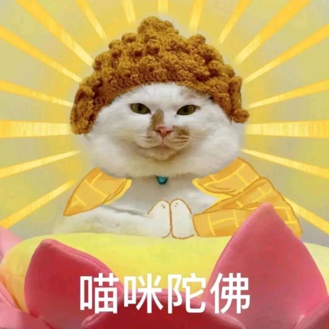 可🐱