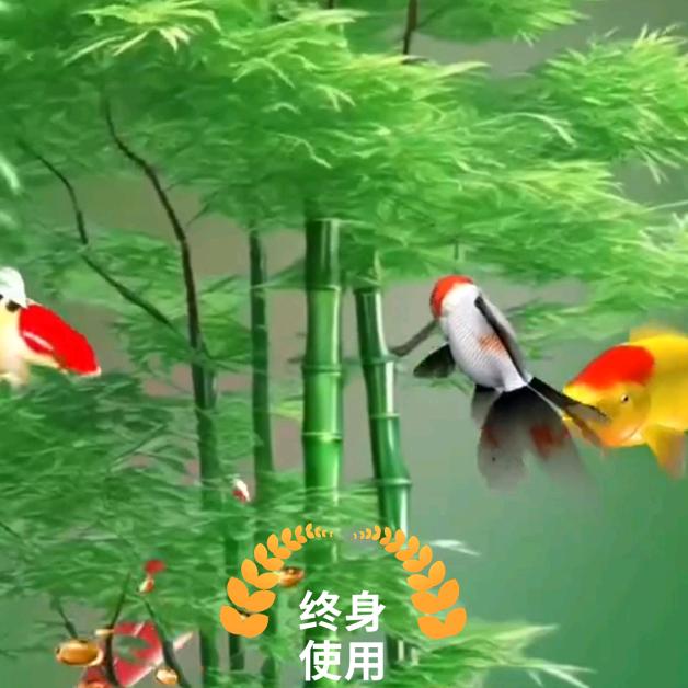 🔥金寨阿玲姐🉑🔥