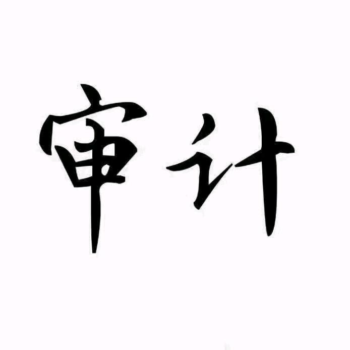 审计-验资-评估