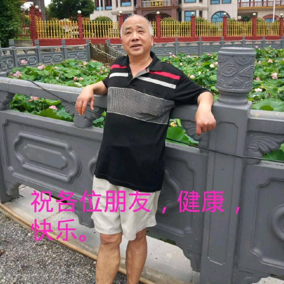 老贺