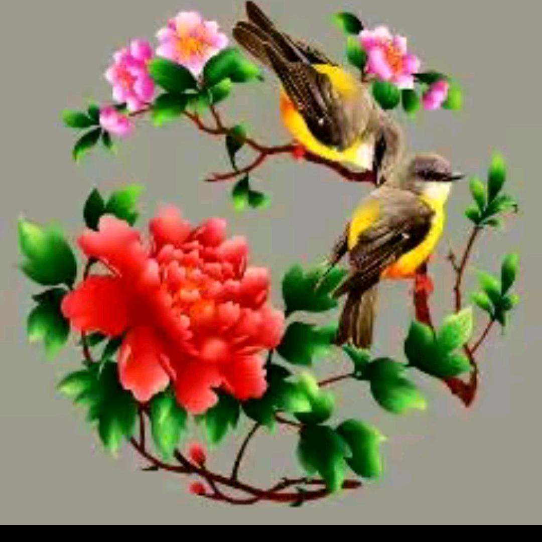 苍决