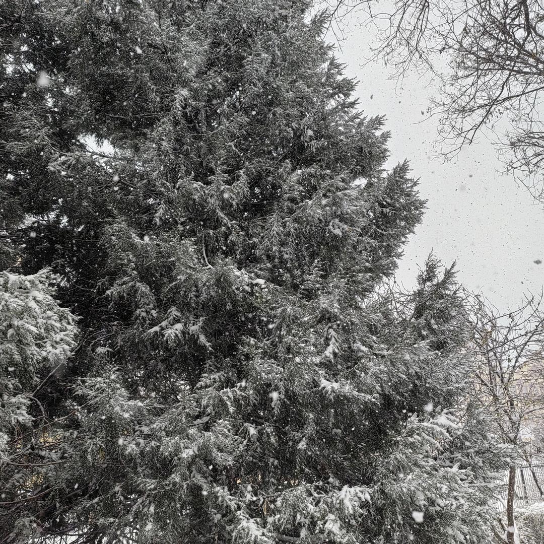 爱自己才是终身浪漫的开始