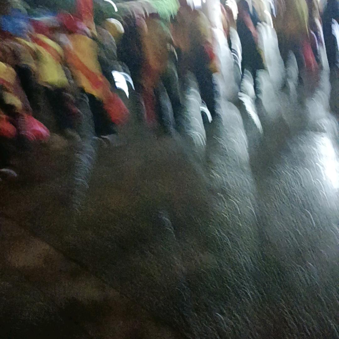 黄宝惠