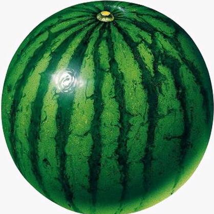 大西嘎（三角洲行动）
