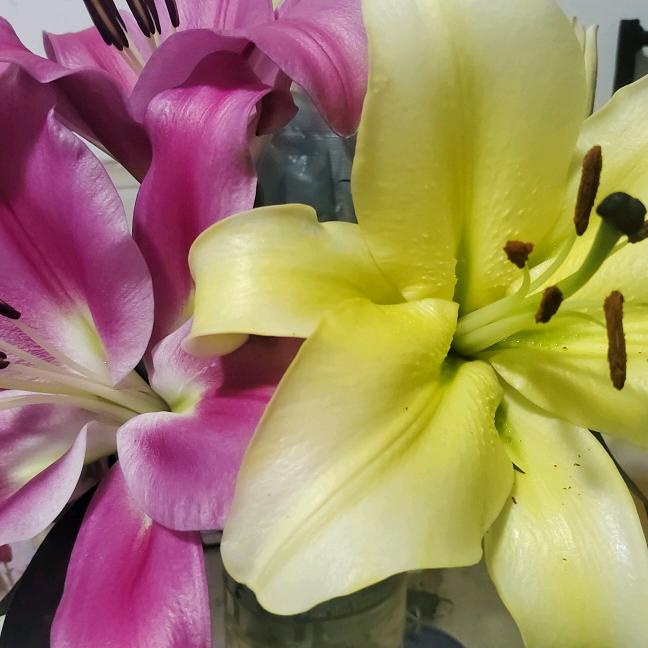 🌷এ᭄一切ꦿ随❤️缘ོ࿐ᩚ💝