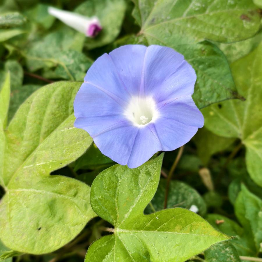 🦋´ღ᭄ꫛ💞ঞᩚ࿐㞮孞ꦿ