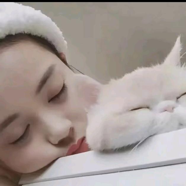 太上皇的通房小丫鬟.