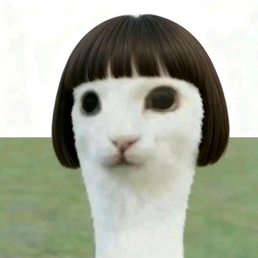 ㅤㅤㅤ   ㅤ   ㅤ