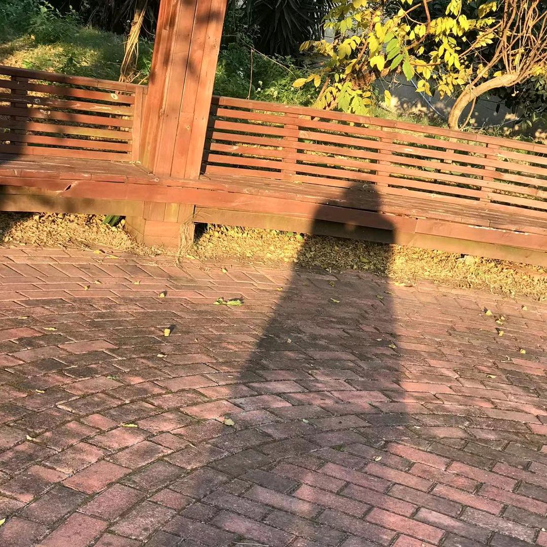 骑🏍️的阿朱