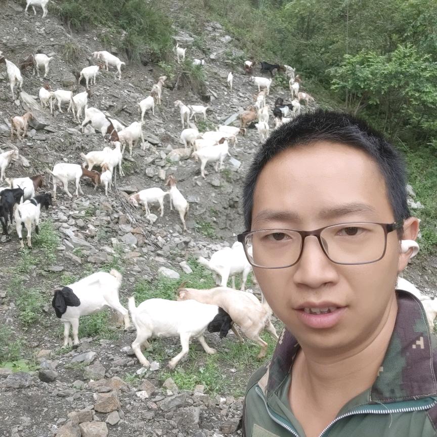 小杨