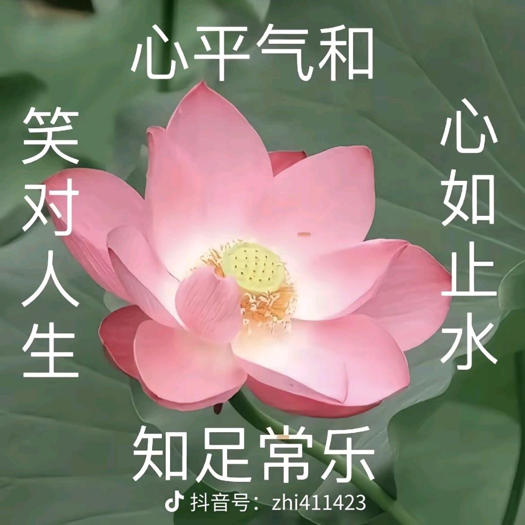 两轮专业