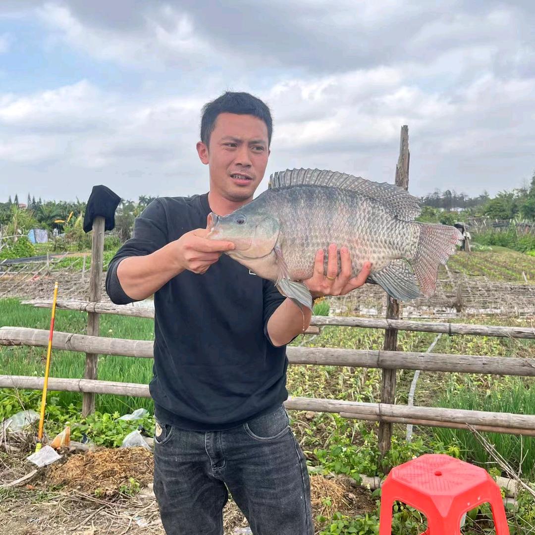 江湖（二哥钓鱼）