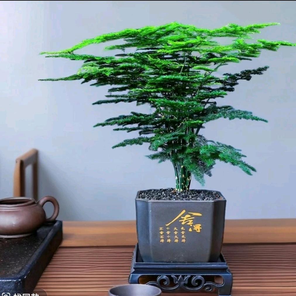 春夏秋冬