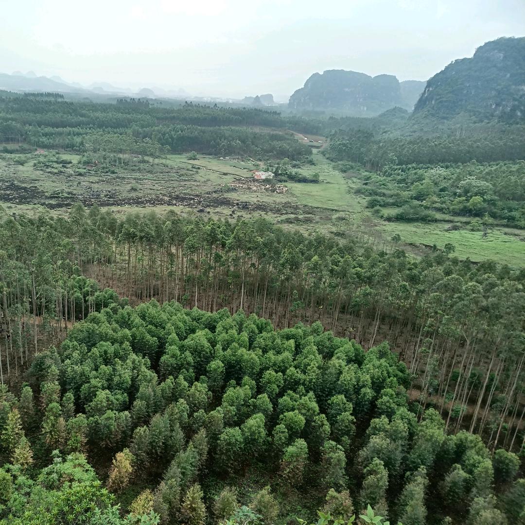 প꯭ᩚ༅～真龍～ꪟꪳ