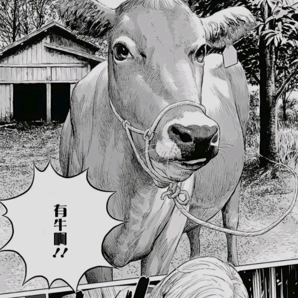 Rikanb（玩了一年桃式）