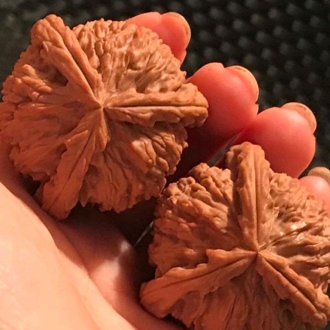 温鑫文玩核桃