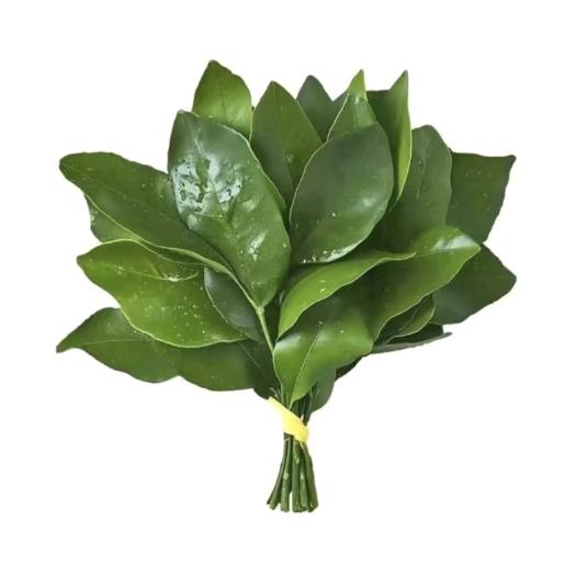 薄皮柑