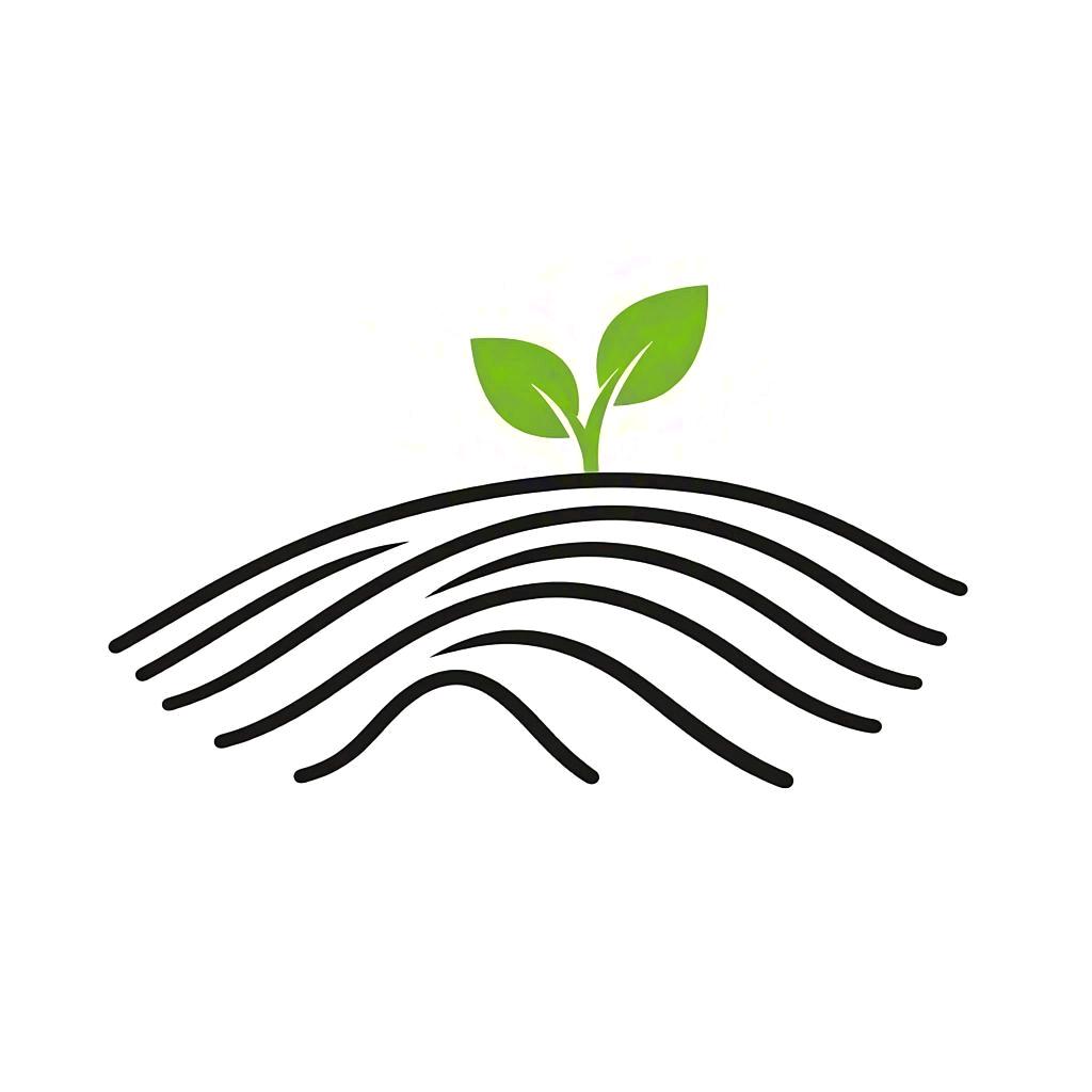 四季田园蔬菜种子