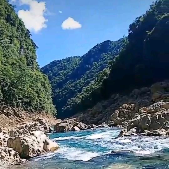 青山青