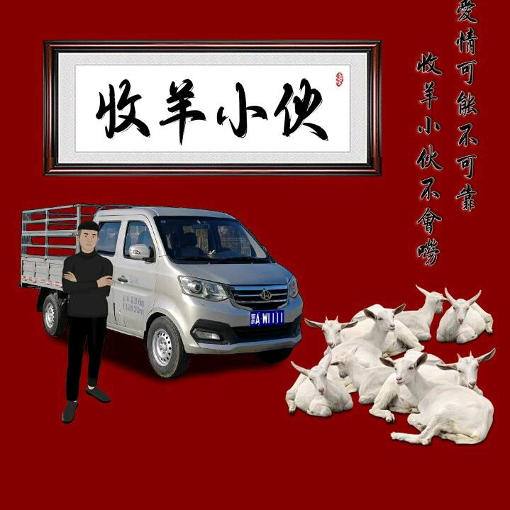 羊气生辉头像
